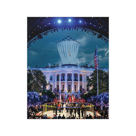 White House Flyover MMA Vertical Matte Poster - Frame Not Included
