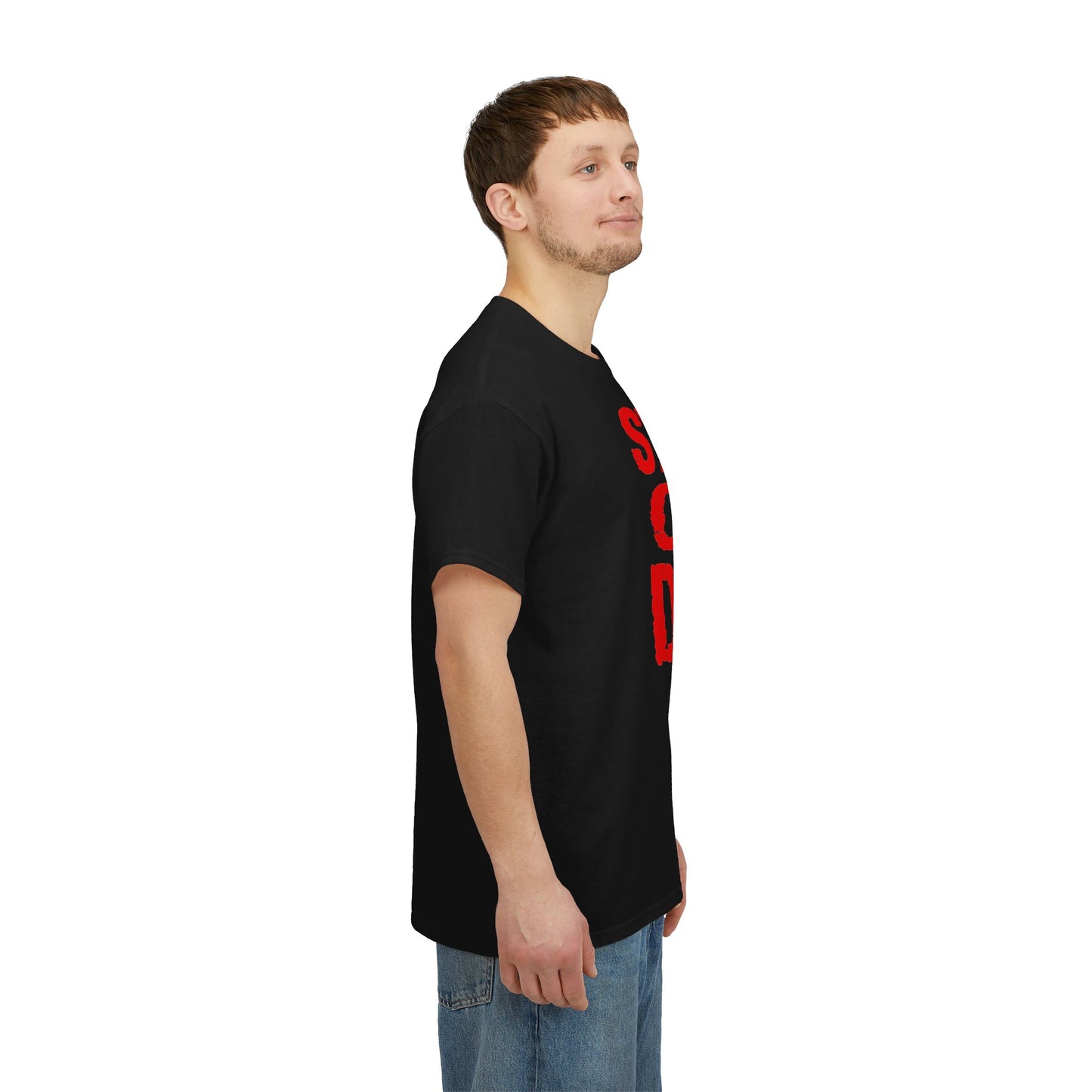 Syndrome of a Down Unisex Heavy Cotton Tee - Funny Shirt - Rock Music - Gift for Men and Women