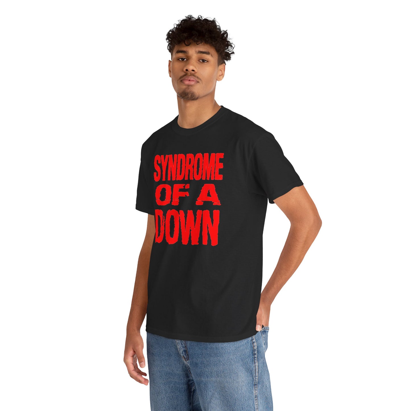 Syndrome of a Down Unisex Heavy Cotton Tee - Funny Shirt - Rock Music - Gift for Men and Women